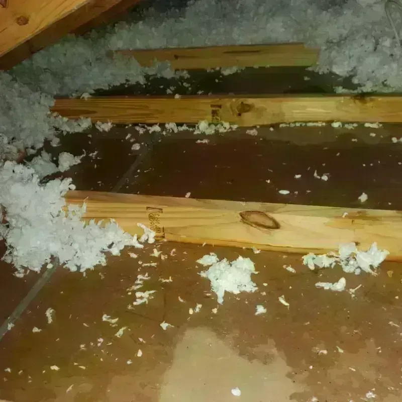 Attic Water Damage in Yadkinville, NC